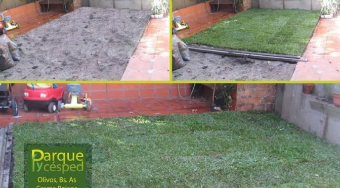 Colocación de césped grama brasileña en Olivos, Vicente López